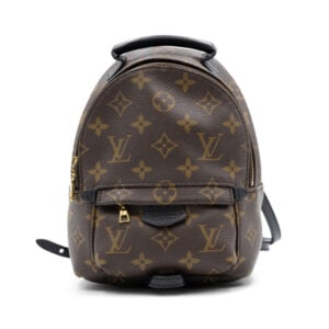 Louis Vuitton Monogram Canvas Palm Springs Mini Backpack