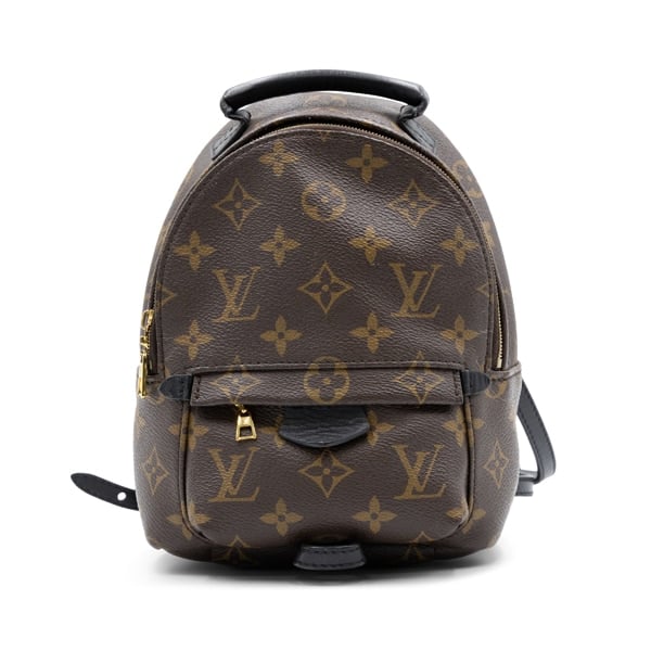 Louis Vuitton Monogram Canvas Palm Springs Mini Backpack