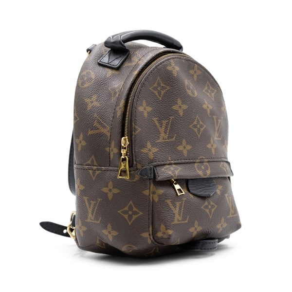 Louis Vuitton Monogram Canvas Palm Springs Mini Backpack - Image 3