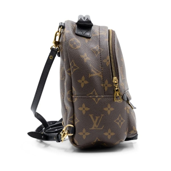 Louis Vuitton Monogram Canvas Palm Springs Mini Backpack - Image 4