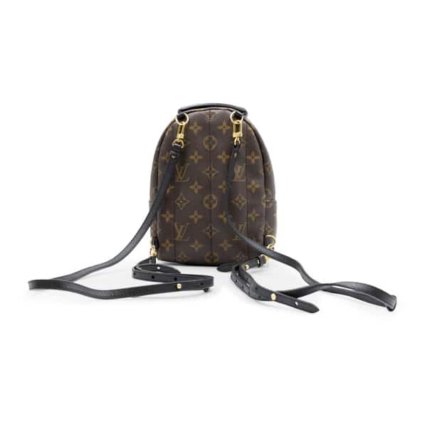 Louis Vuitton Monogram Canvas Palm Springs Mini Backpack - Image 2