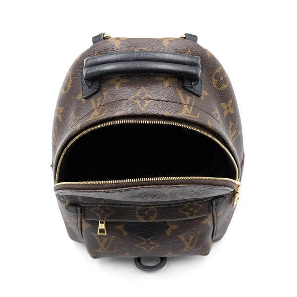 Louis Vuitton Monogram Canvas Palm Springs Mini Backpack - Image 6
